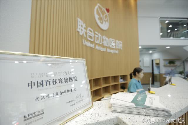 爱宠宠物医院服务中心,爱宠宠物医疗中心