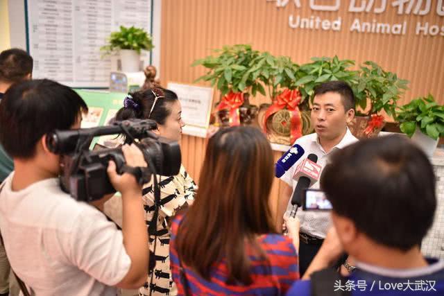 爱宠宠物医院服务中心,爱宠宠物医疗中心