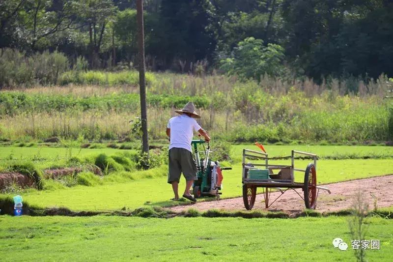 蓉江新区潭东最新消息,蓉江新区潭东最新规划宋塘村