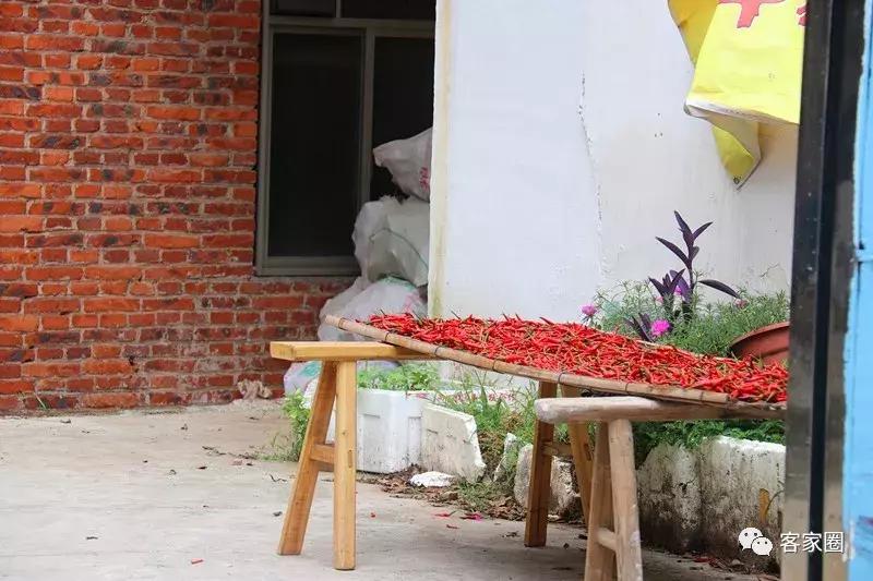 蓉江新区潭东最新消息,蓉江新区潭东最新规划宋塘村