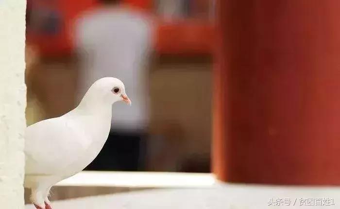 人死后去阴间的全过程，看醒了很多人！