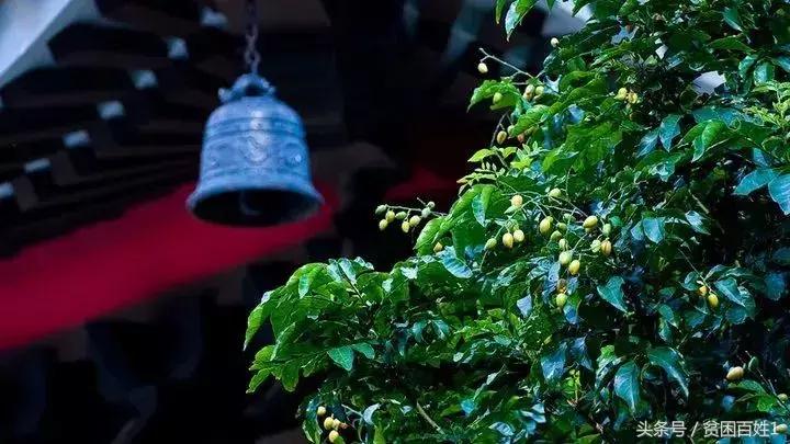 人死后去阴间的全过程，看醒了很多人！