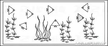 二年级数学下册期中测试卷可打印,人教版数学二年级上册期末检测卷
