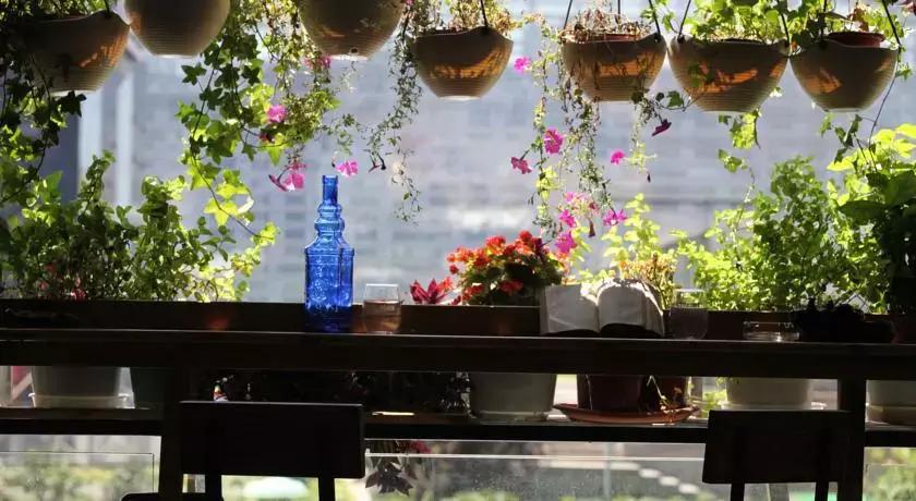 成都比较推荐的民宿,成都附近的民宿哪里好