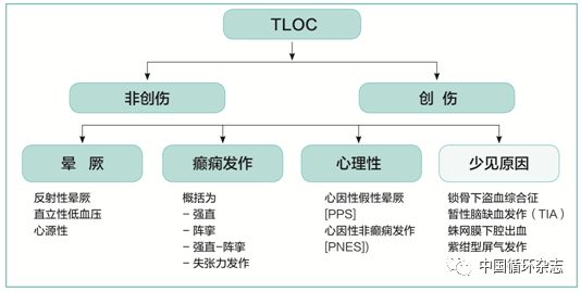 欧洲晕厥指南两大主席同台讲解2018指南:患者教育是反射性晕厥治疗基石