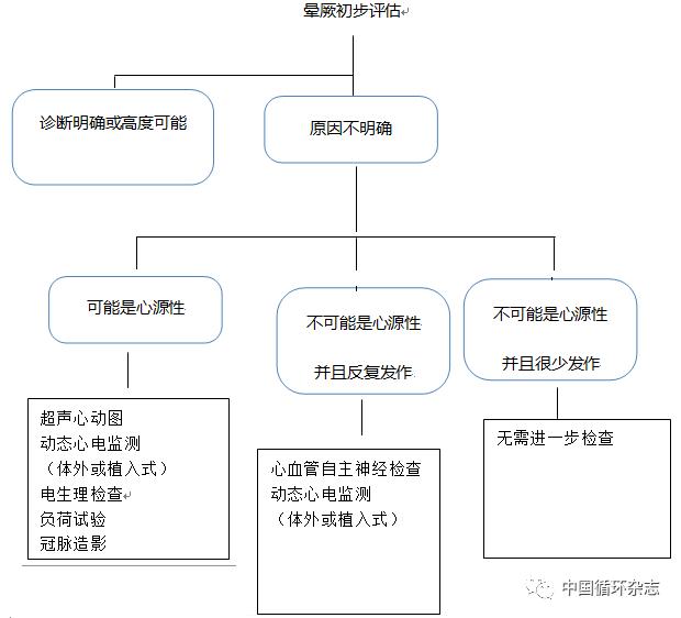 欧洲晕厥指南两大主席同台讲解2018指南:患者教育是反射性晕厥治疗基石