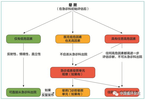 欧洲晕厥指南两大主席同台讲解2018指南:患者教育是反射性晕厥治疗基石
