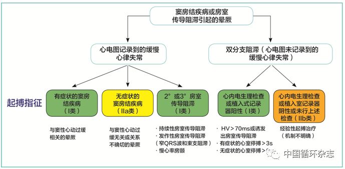 欧洲晕厥指南两大主席同台讲解2018指南:患者教育是反射性晕厥治疗基石