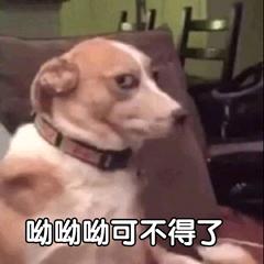 秋季肌肤维稳,我已经找不出比这几款性价比更好的护肤品了