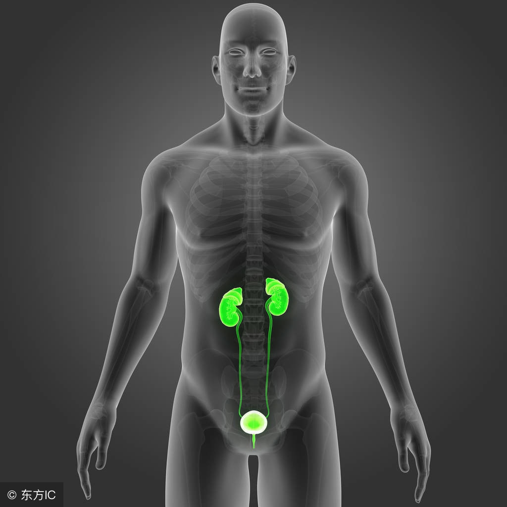 尿结石会不痛不痒尿血吗,尿结石不痛但没下来