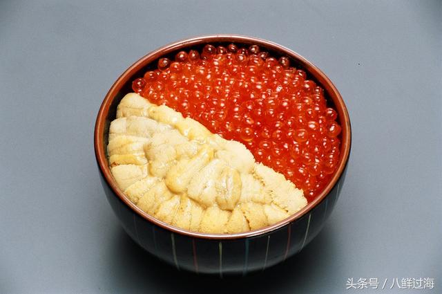 日本北海道札幌吃海胆,日本海鲜海胆自助