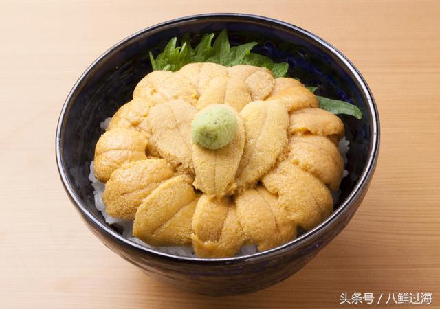日本北海道札幌吃海胆,日本海鲜海胆自助