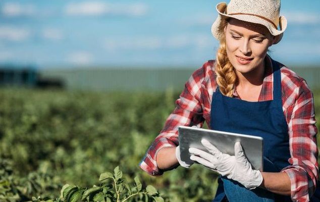 投资农业未来5年的出路,做农业想赚钱必须要有新的模式