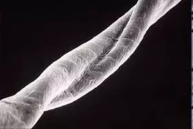 珍珠棉和玻璃纤维棉的区别,丝光棉是天然棉吗