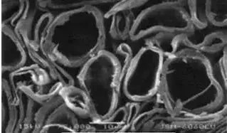 珍珠棉和玻璃纤维棉的区别,丝光棉是天然棉吗
