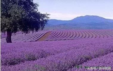 沈阳新玩法,玩转沈阳中街