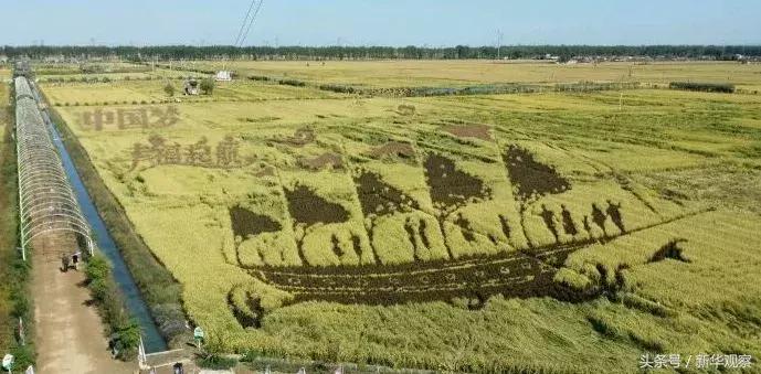 沈阳新玩法,玩转沈阳中街