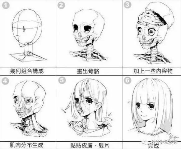 从入门到放弃系列图片,ipad绘画基础入门教程