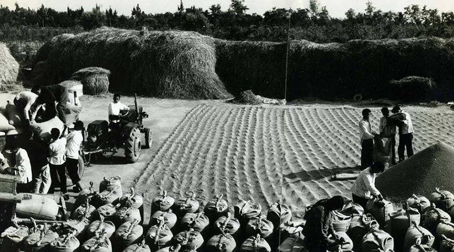 李万忠的违法所得追缴了吗,农业税重新征收提案