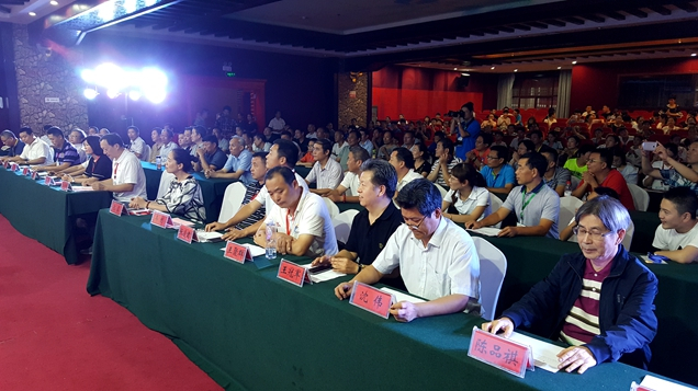 围棋棋王赛金标杯,2018中国淮阳围棋棋王