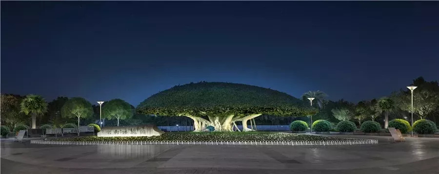 水清岸绿景怡人再添休闲好去处,冬日的南湖公园有多美