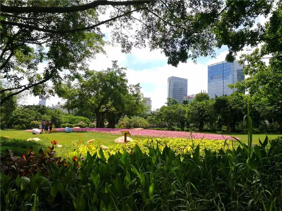 水清岸绿景怡人再添休闲好去处,冬日的南湖公园有多美