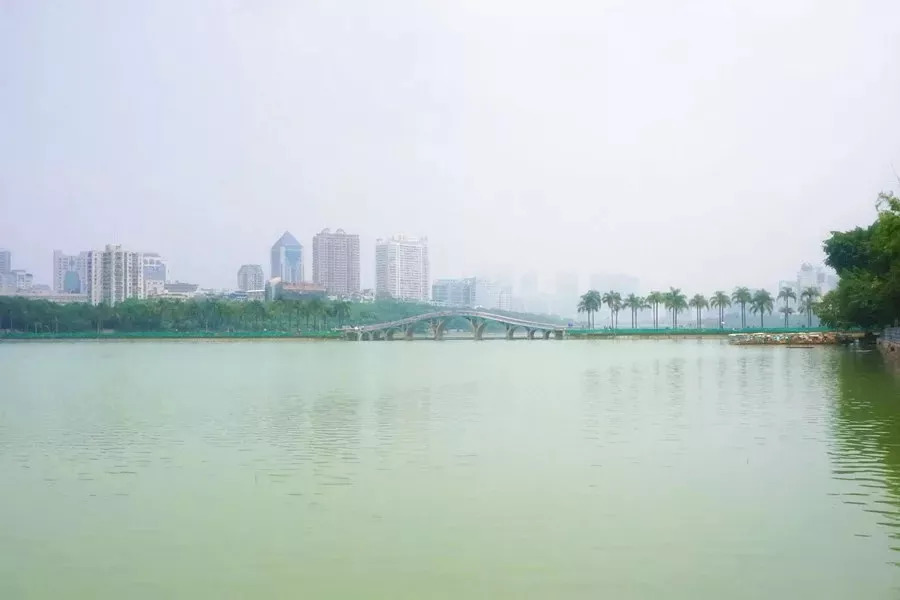 水清岸绿景怡人再添休闲好去处,冬日的南湖公园有多美