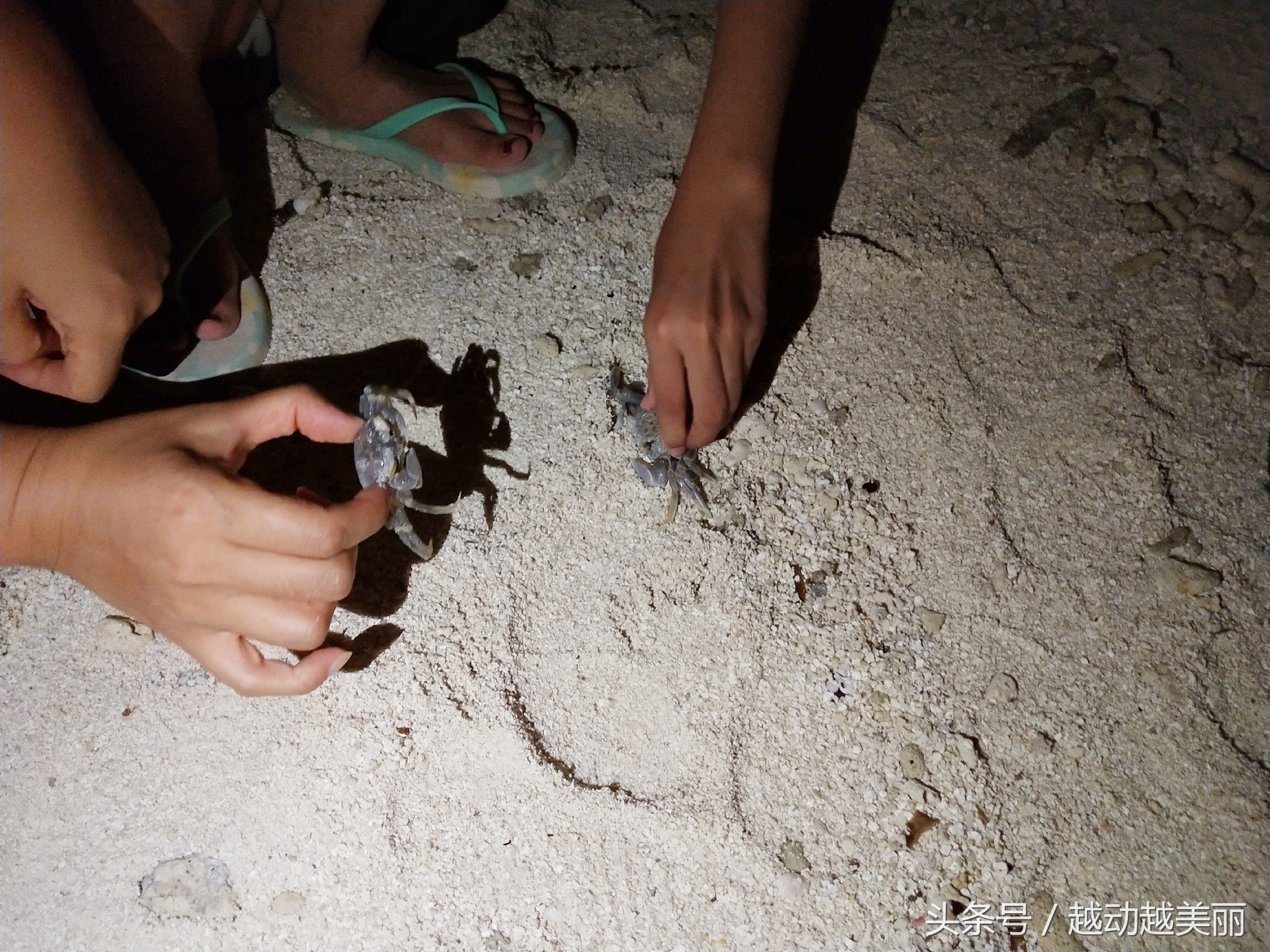马尔代夫哪个岛浮潜最佳推荐,夏日全民旅行记海滩