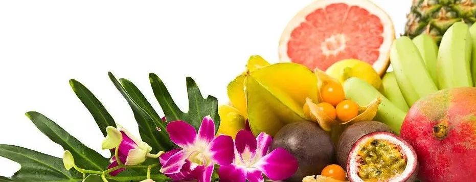 网红水果五种,现在吃的网红水果