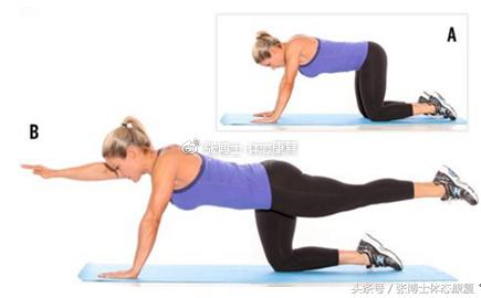 运动康复学治疗腰间盘突出,运动康复腰椎间盘突出