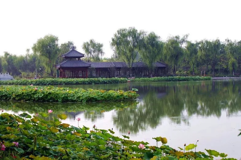 天津自然森林公园,天津最大的人造森林公园