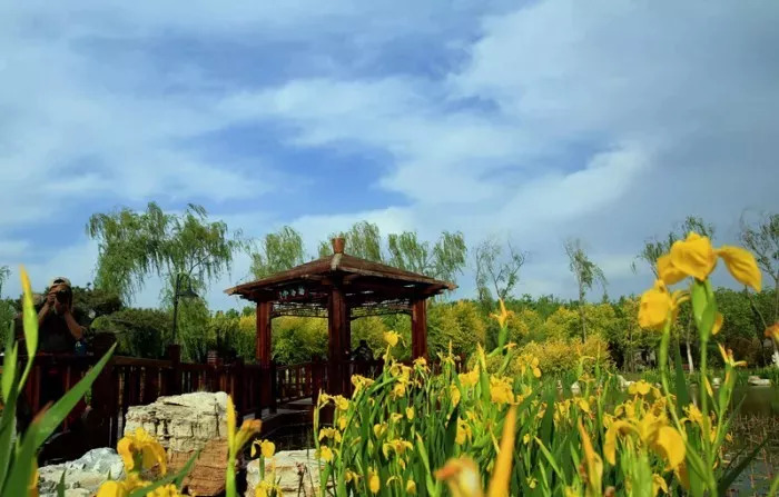 天津自然森林公园,天津最大的人造森林公园