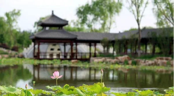 天津自然森林公园,天津最大的人造森林公园