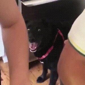 万名官兵参与山东灾后重建；想离就离？法律拟规定先冷静一个月；“女孩滴滴顺风车遇害案”嫌犯被批捕！