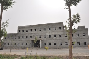 顽强的树视频,顽强的树歌曲