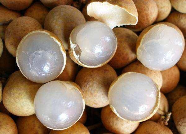 白露到了是不是天气就凉快了,白露就天气凉快了吗