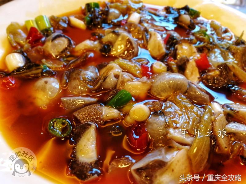 蜀南竹海美食全集,蜀南竹海关于竹子的美食