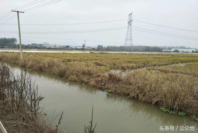 稻虾养殖技术及注意事项,稻虾养殖需要注意什么