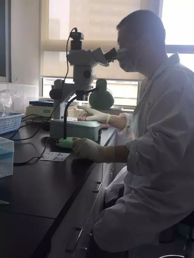 螨虫走开！中疾控检测100%有效，家有小宝、消除过敏源必备