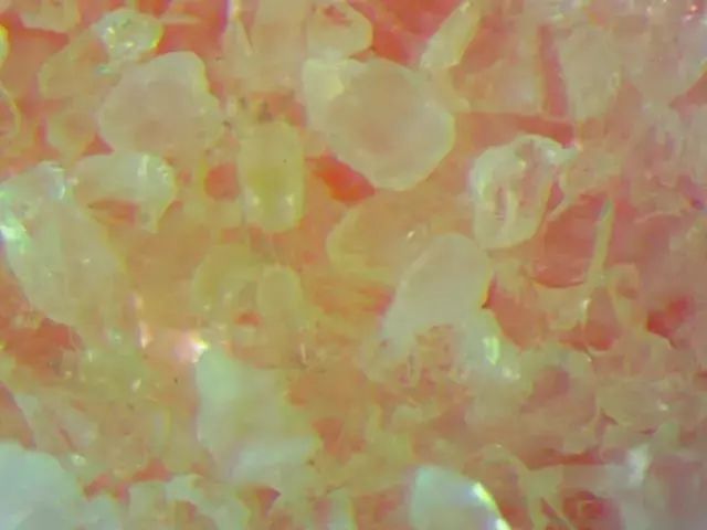 螨虫走开！中疾控检测100%有效，家有小宝、消除过敏源必备