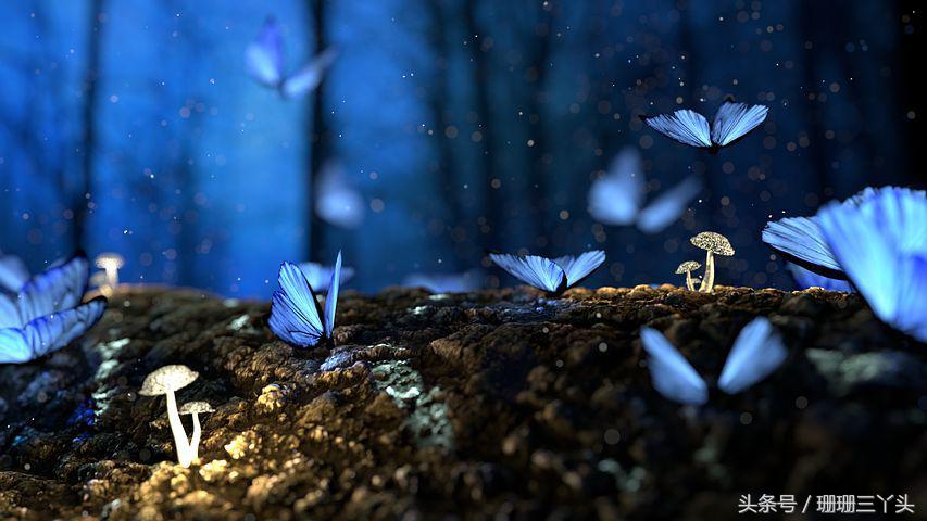 用色彩和光线拍出来的摄影作品,大色块高饱和度摄影什么风格