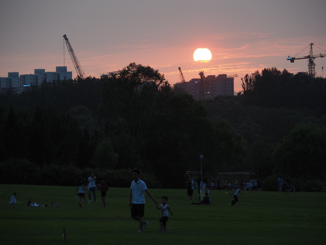 奥林巴斯入门拍摄技巧,奥林巴斯单反相机入门教程