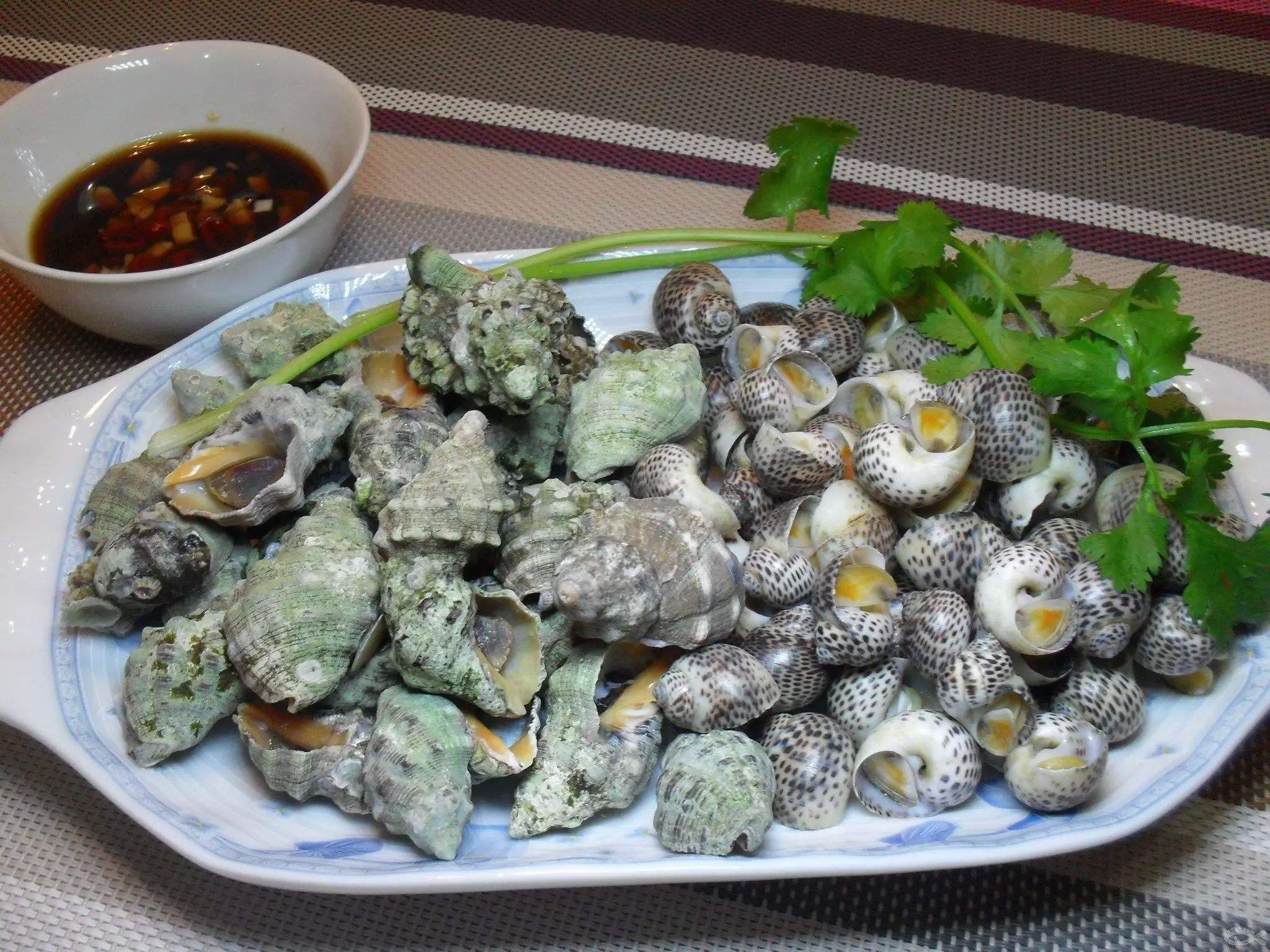海螺的常见做法,海螺的不辣做法