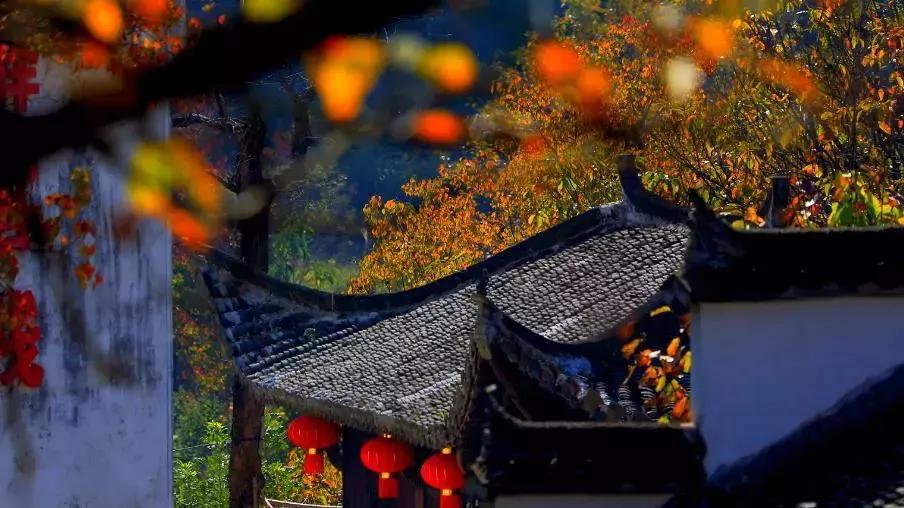 走进徽派建筑,走进黟县县城