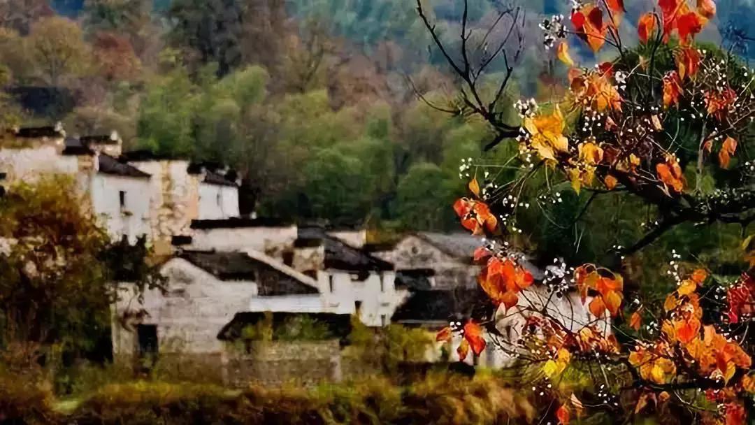 走进徽派建筑,走进黟县县城