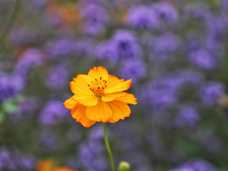 苏皖浙三省交界处,秋冬广德旅游攻略