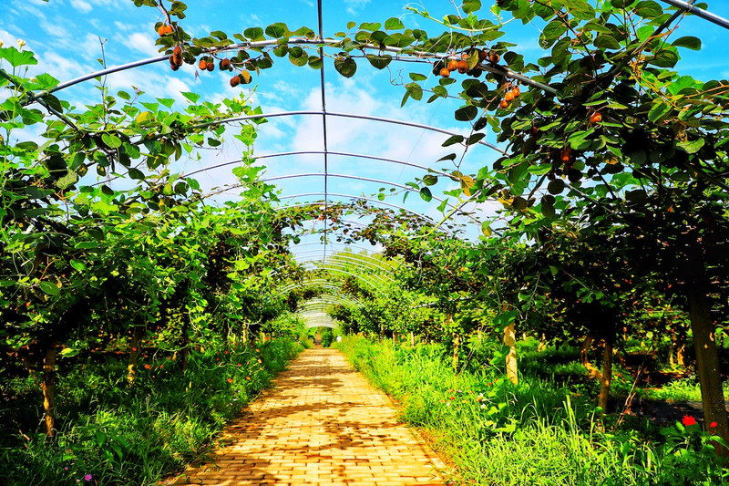 苏皖浙三省交界处,秋冬广德旅游攻略