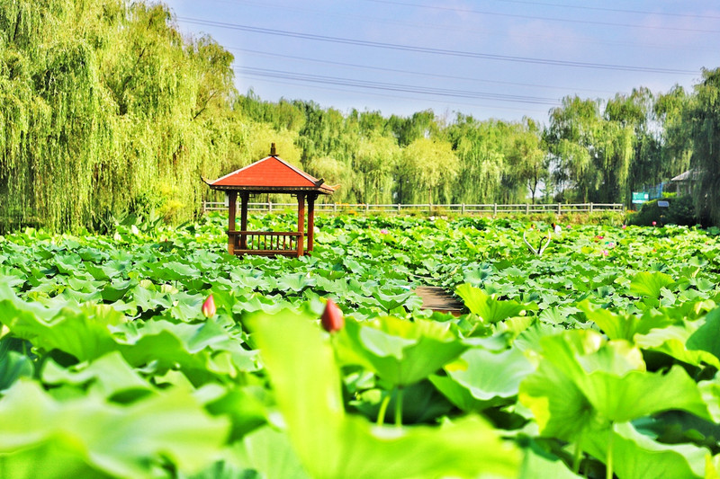 苏皖浙三省交界处,秋冬广德旅游攻略
