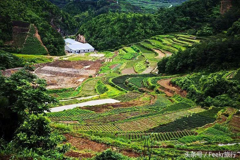 纾愬畨绉樺,纾愬畨姹熷崡绉樺