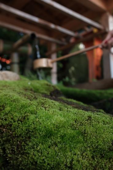 一个自称高达迷的媳妇迷拎包客的日本蜜月之行，幸福满满~